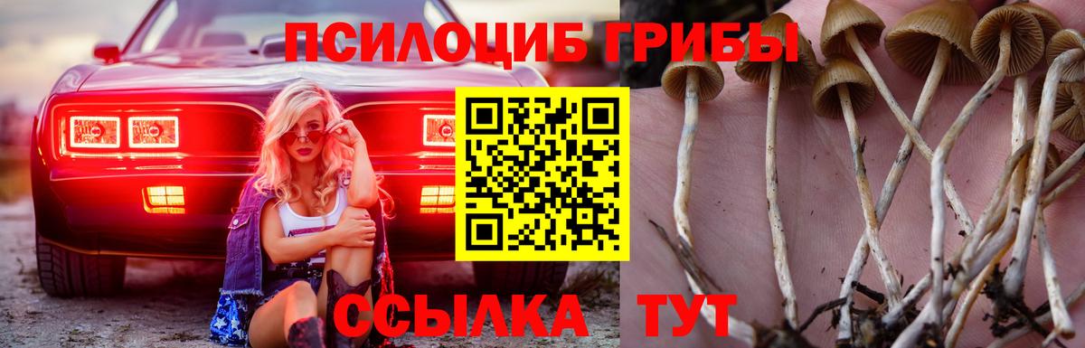 Псилоцибиновые грибы MAGIC MUSHROOMS  Вход с VPN  Железноводск  Псилоцибиновые грибы ЛСД 