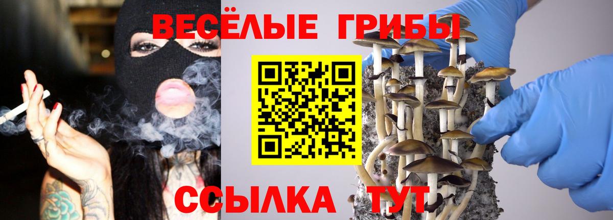 Галлюциногенные грибы ЛСД Железноводск